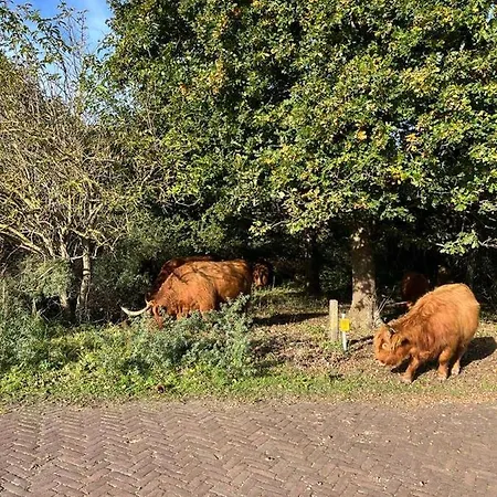 Vakantiewoning Aan Zee - 150m Het