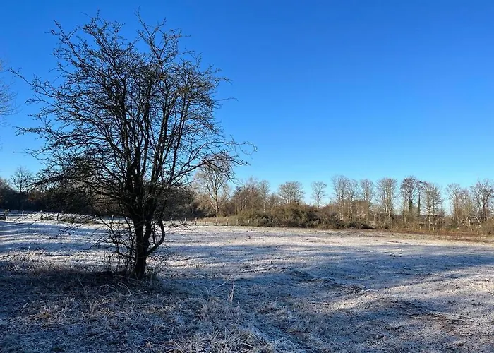 Vakantiewoning Aan Zee - 150m Het